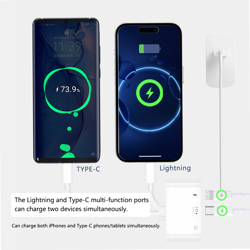 2 in 1 Lightning Type C naar U - Wired Earphone Lightning recensie en prijs
